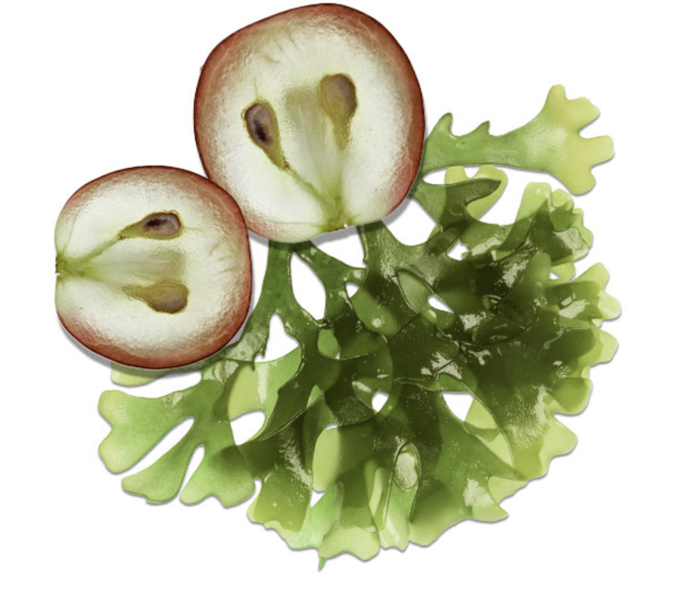 HYDROPEPTIDE HYDROSTEM SERUM 
Pleťové Sérum na vrásky s PhytoCellTec™ Anti Age omladzujúce boosting peptidové sérum s účinnosťou až na bunkovej úrovni DNA. Hydropeptide