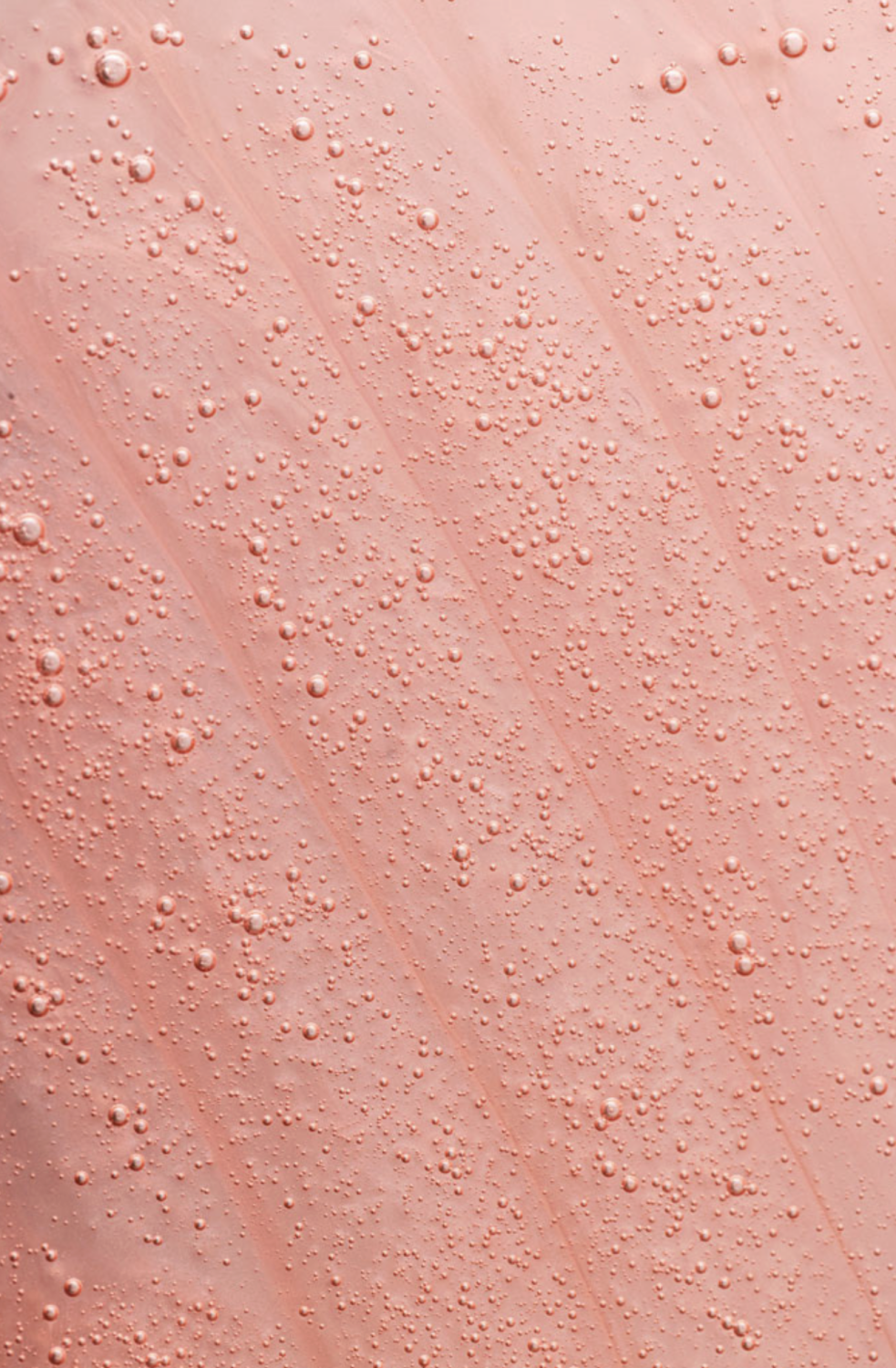 DSD SIMONE DE LUXE STEEL AND SILK SHAMPOO 
5.1L Šampón na jemné a zničené vlasy pre ich posiľnenie. Hydratuje, ale pri tom nezaťažuje vlasy.