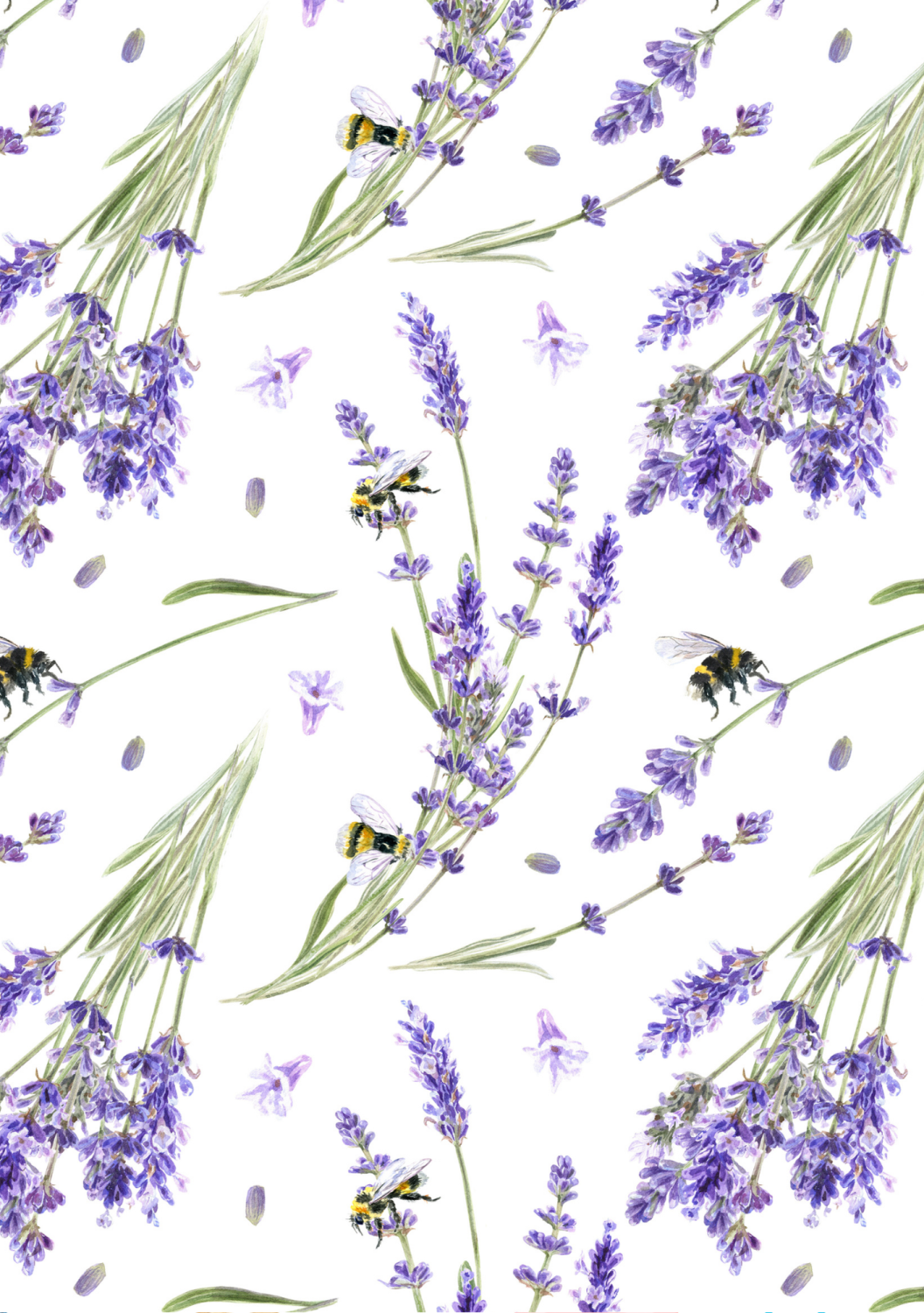 GIFT AROMA SHOWER <br>LAVENDER 
Darček Sprchový aroma filter Medicals Cosmetics <br> Lavender s vitamínom C