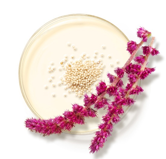 HYDROPEPTIDE EXFOLIATING CLEANSER 
Čistiacie pleťové mlieko s jemným peelingom, exfoliačnými kyselinami a peptidmi. Anti-age účinky kombinujú jemnú exfoliáciu s kolagén podporujúcimi peptidmi, rozjasňuje pleť a zjemňuje jej textúru
